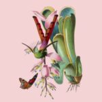 Le Jardin des Plantes
