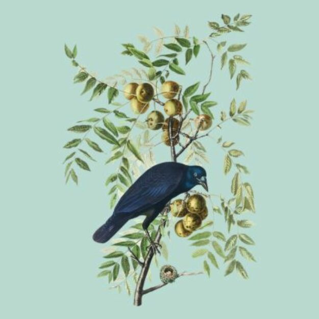 John James Audubon